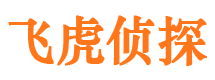 白朗侦探调查公司